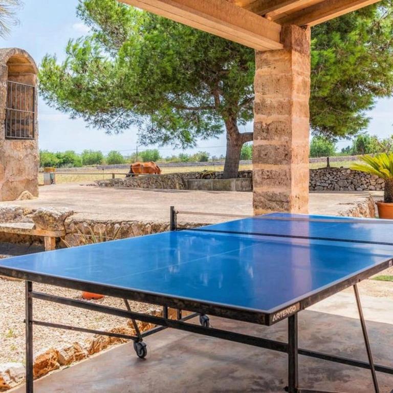 Finca in Manacor with Pool & Near Beaches - Villa mit 6 Schlafzimmern - 34