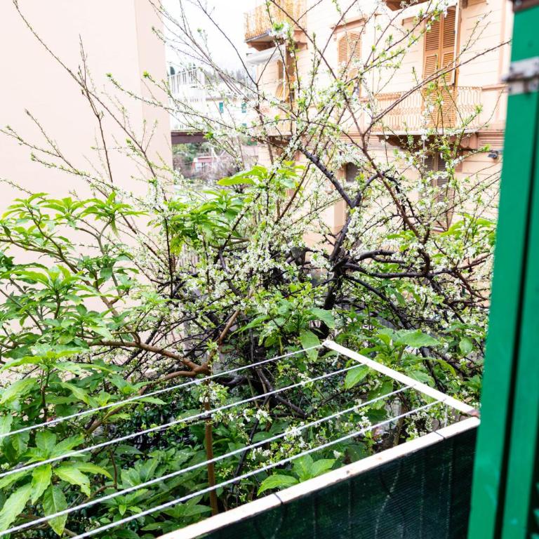 Appartamento Margherita - CITRA 011015-LT-1929 - Appartamento con 1 Camera da Letto - 18