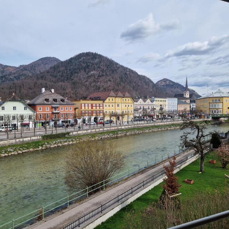 Apartment Traunkai Zauner Blick - Apartment mit 1 Schlafzimmer - 1