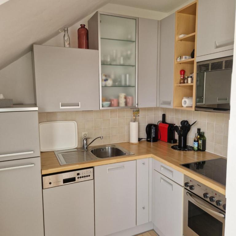 Apartment Traunkai Zauner Blick - Apartment mit 1 Schlafzimmer - 10