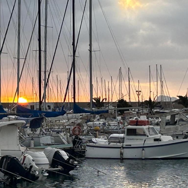 Alghero my Love - Appartamento con 1 Camera da Letto - 1