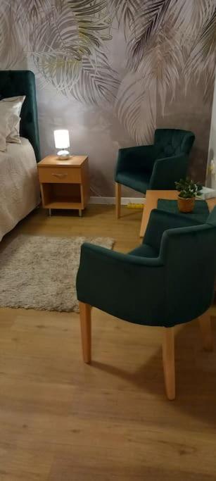 Rubens green - Apartman sa 1 Spavaćom Sobom - 5