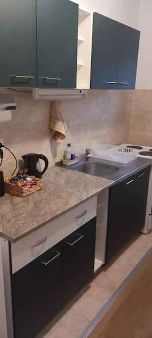 Rubens green - Apartman sa 1 Spavaćom Sobom - 8