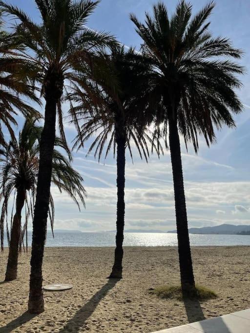 Charmant T2 piscine proche plage - Appartement 1 Chambre - 16