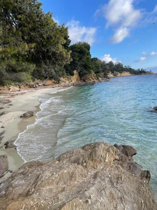 Charmant T2 piscine proche plage - Appartement 1 Chambre - 17