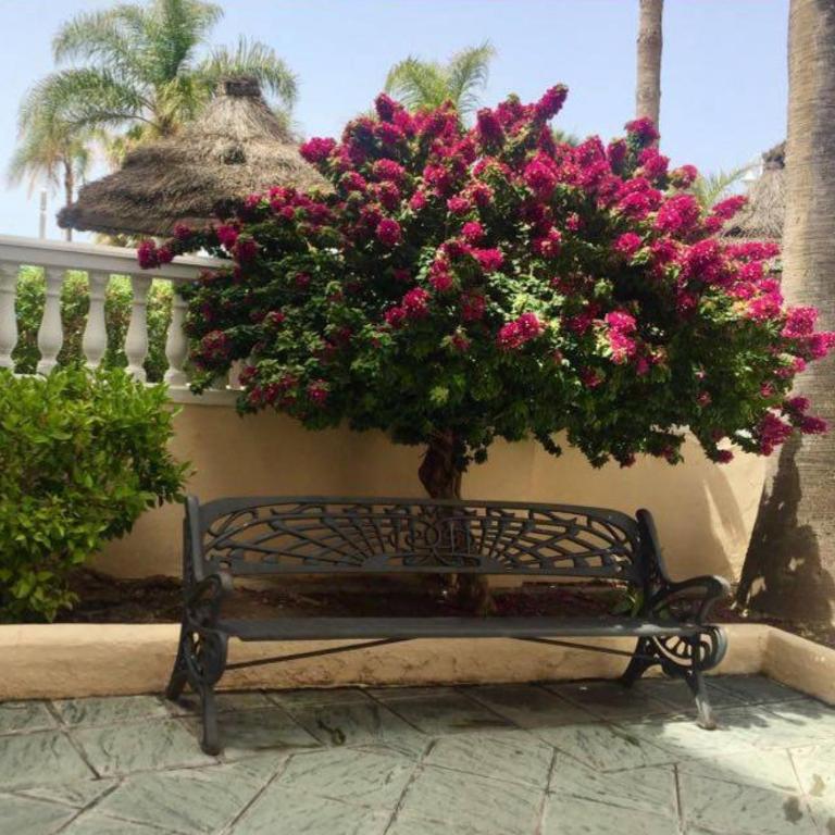 Apartamento Mar del Sol - Apartamento de 3 dormitorios - 19