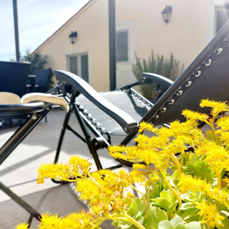 Circo Massimo Apartment & Terrace - Appartamento con 1 Camera da Letto - 7