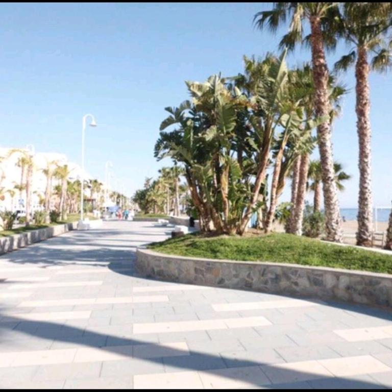 Apartamento Mar del Sol - Apartamento de 3 dormitorios - 23