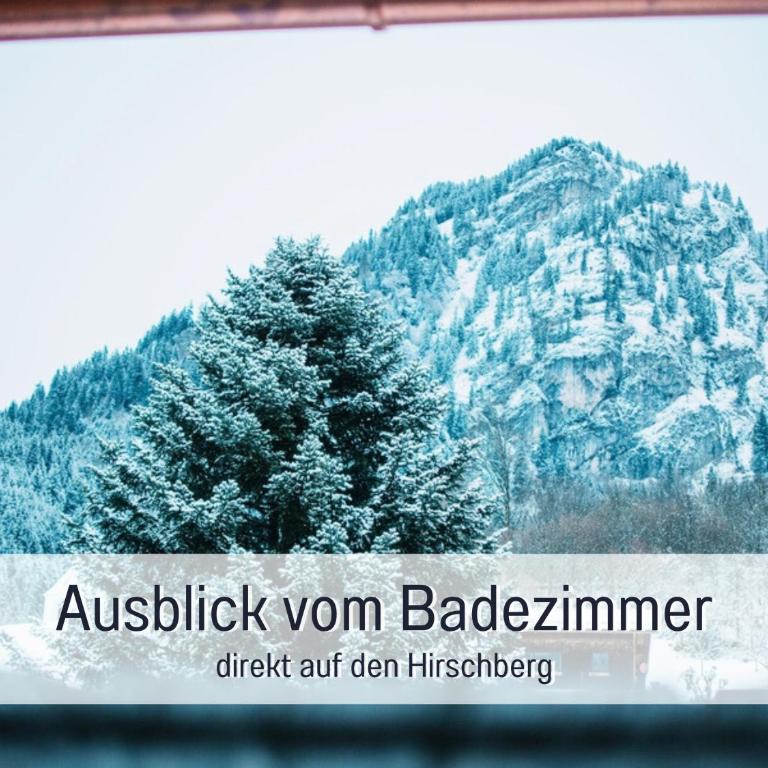 Ferienwohnungen Scholl - private Sauna oder Infrarotkabine - Apartment mit 2 Schlafzimmern und Balkon - 20