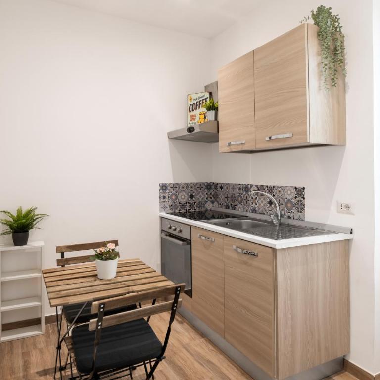 central comfortable studio apartment - Appartement 1 Chambre - 7