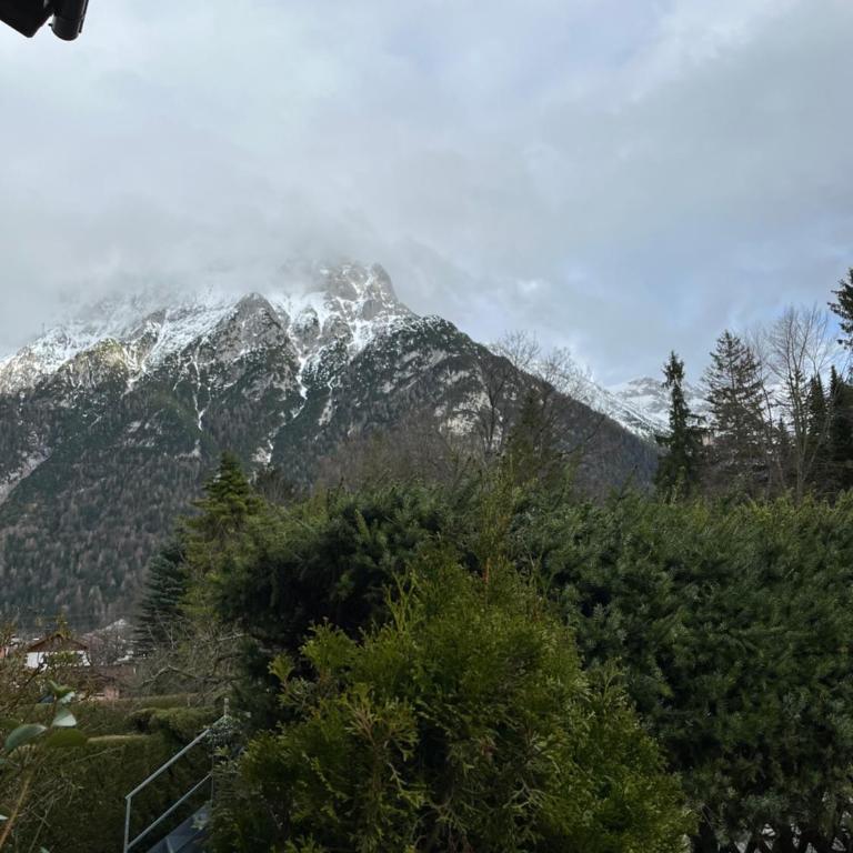 Fewo Lautersee - Appartamento con 1 Camera da Letto - 12