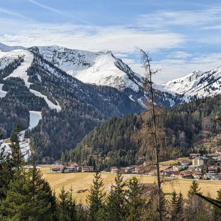 Luxury Eco-Chalet Pino Achensee - hiking, biking & ski-in, ski-out - Chalet mit 3 Schlafzimmern - 21