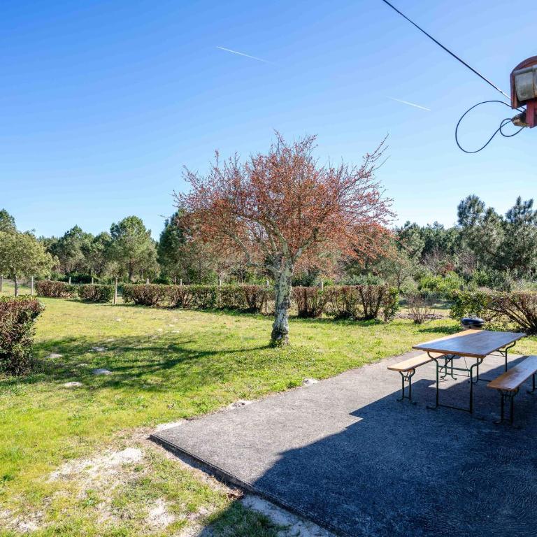 Maison 3 chambres proche plages avec jardin clos à Mimizan - pour 8 personnes - FR-1-50-127 - Maison de Vacances - 13