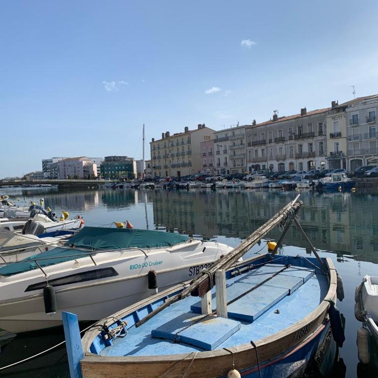 Appartement T2 à Sète avec parking et animaux admis, proche gare et plages - FR-1-338-562 - Apartment - 19