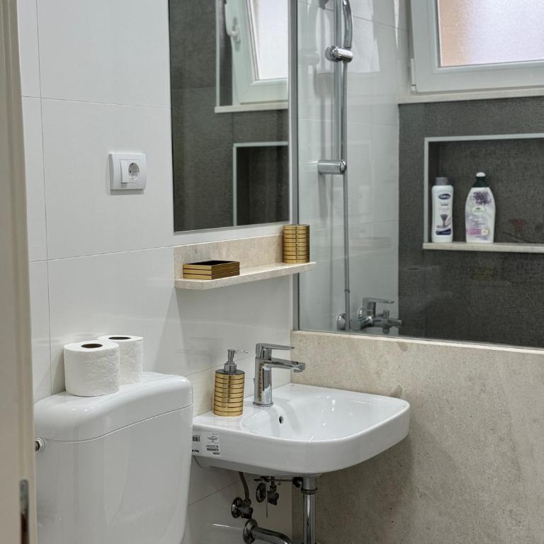 Apartman PARK - Apartman sa 1 Spavaćom Sobom - 12
