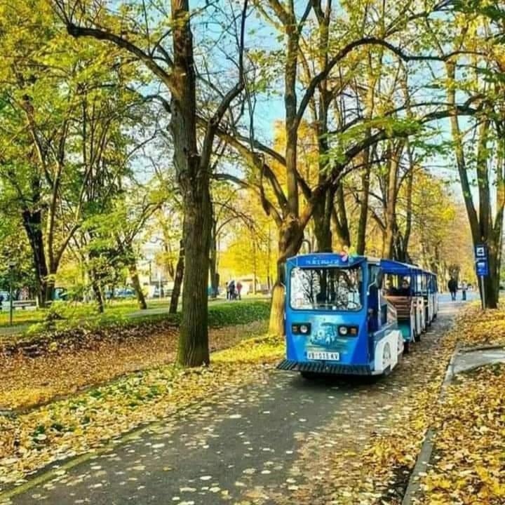 Apartman Natura - Apartman sa 1 Spavaćom Sobom - 54