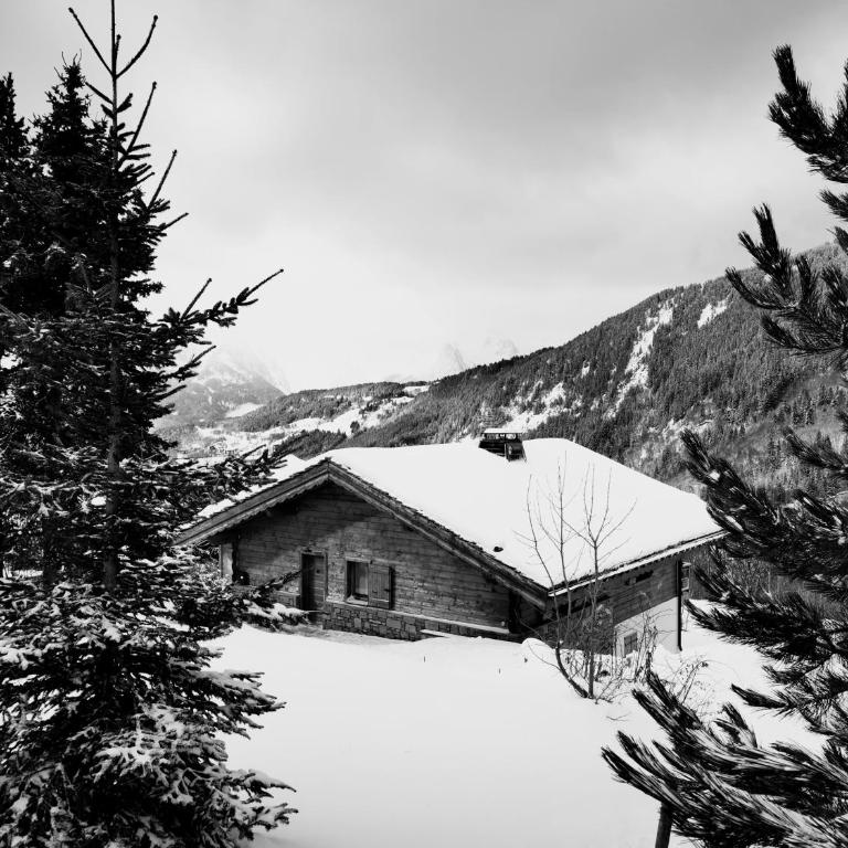 Chalet No 10, le Réconfort, accès skis aux pieds à Saint-François-Longchamp - Valmorel - Chalet - 1