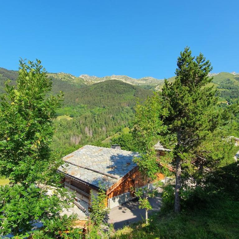 Chalet No 10, le Réconfort, accès skis aux pieds à Saint-François-Longchamp - Valmorel - Chalet - 22