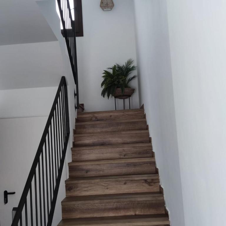 EL REFUGIO DE CARMEN 1 B - Apartamento de 2 dormitorios - 4