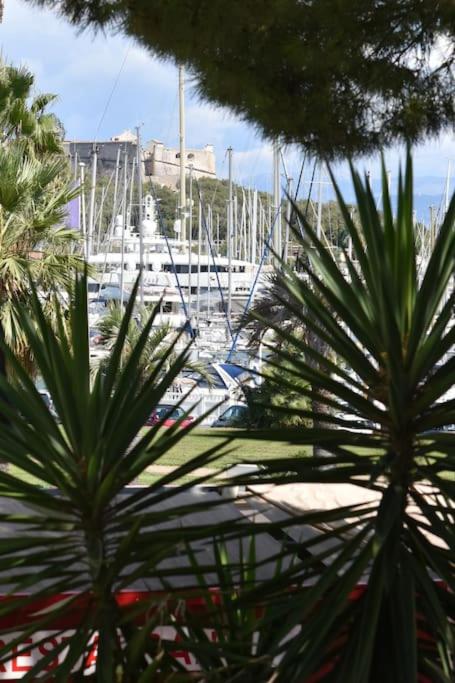 AU PORT - BRAND NEW flat w 1 bedroom, balcony, parking, AC - One-Bedroom Apartment - 24