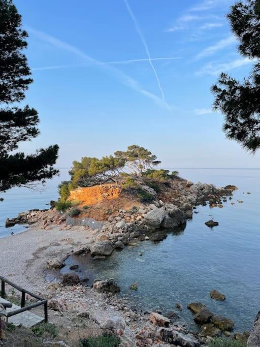 Spacieux appartement au calme à 5 minutes de la mer, parking privé - Appartement 2 Chambres - 28