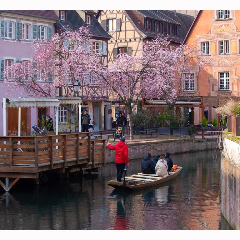 Maison avec terrasse Colmar Centre-Cottage garden terrace Center Old Town Colmar - Casa con 2 Camere da Letto - 39