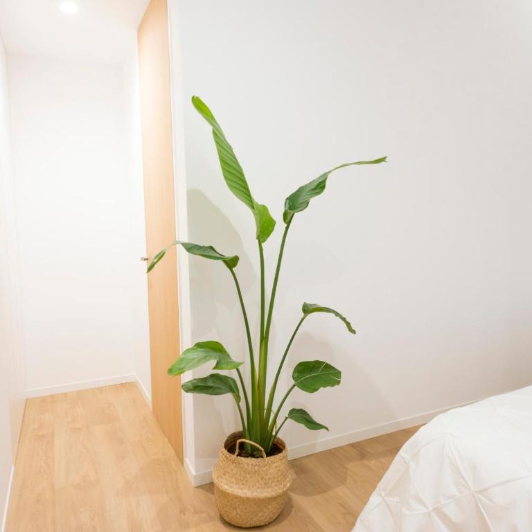Loft Solpor do Carril 50 playa - Apartamento de 1 dormitorio - 6