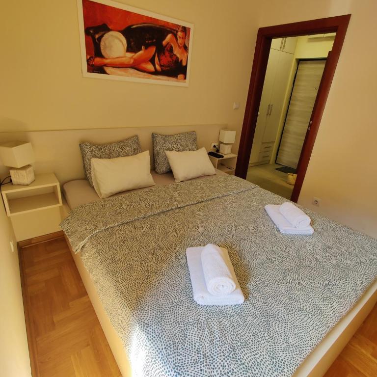 Djurdja Apartment Novi Sad - Apartman sa 1 Spavaćom Sobom - 14