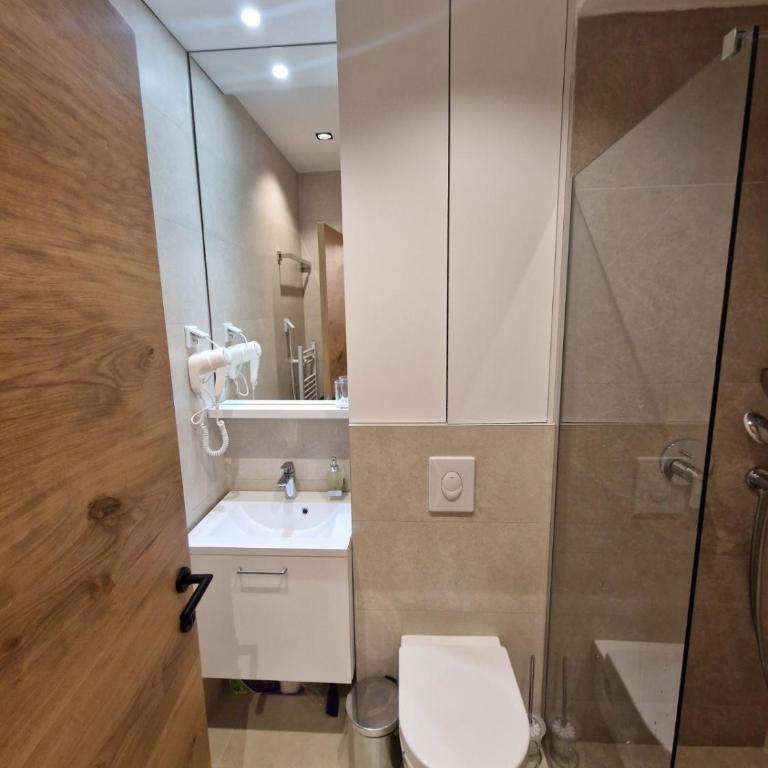 ZLATNI JAVOR 312 - One-Bedroom Apartment - 4