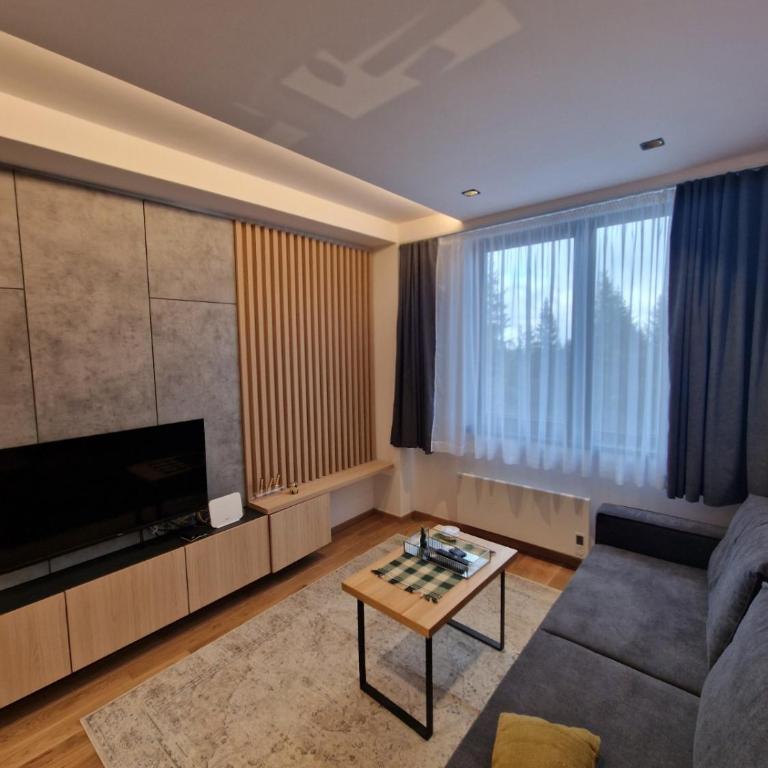 ZLATNI JAVOR 312 - One-Bedroom Apartment - 7