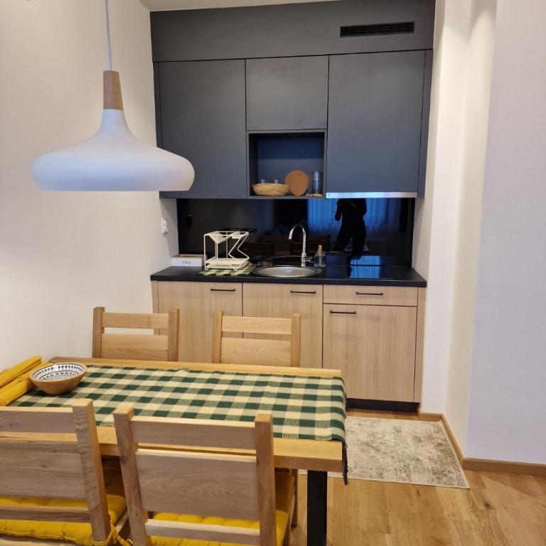 ZLATNI JAVOR 312 - One-Bedroom Apartment - 5