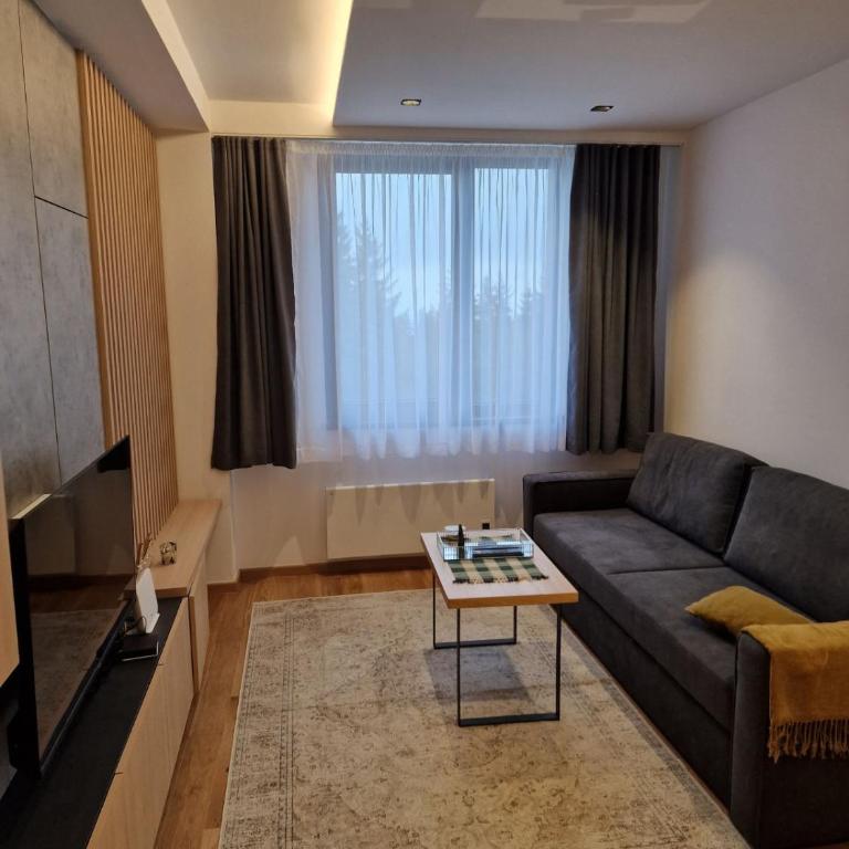 ZLATNI JAVOR 312 - One-Bedroom Apartment - 28