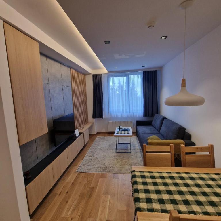 ZLATNI JAVOR 312 - One-Bedroom Apartment - 32