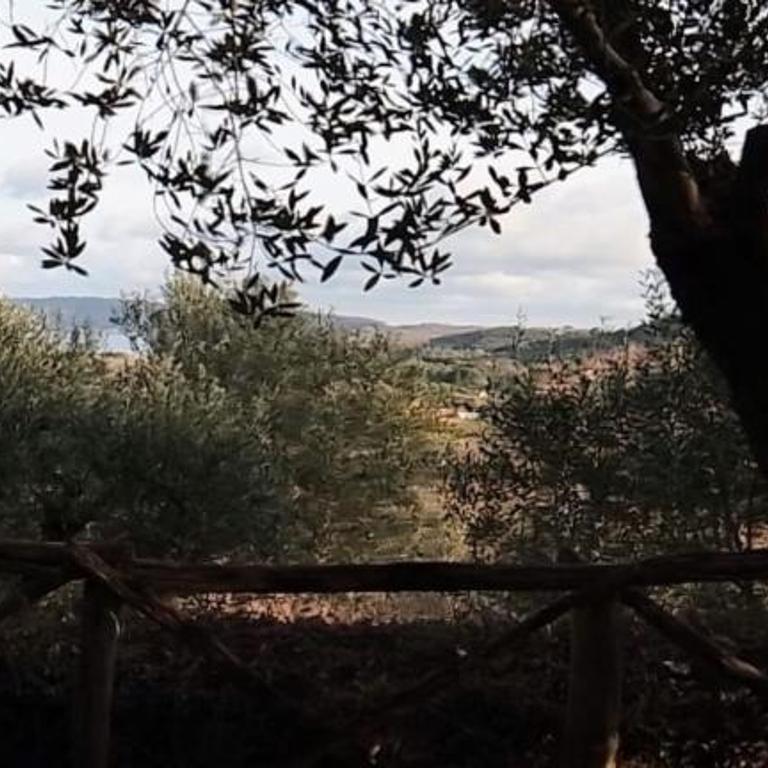 La Cerasa - vista Lago di Bracciano e giardino privato - Casa Vacanze - 72