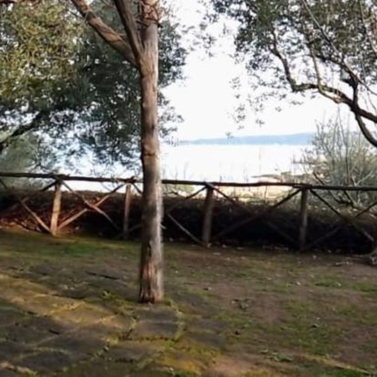 La Cerasa - vista Lago di Bracciano e giardino privato - Casa Vacanze - 71