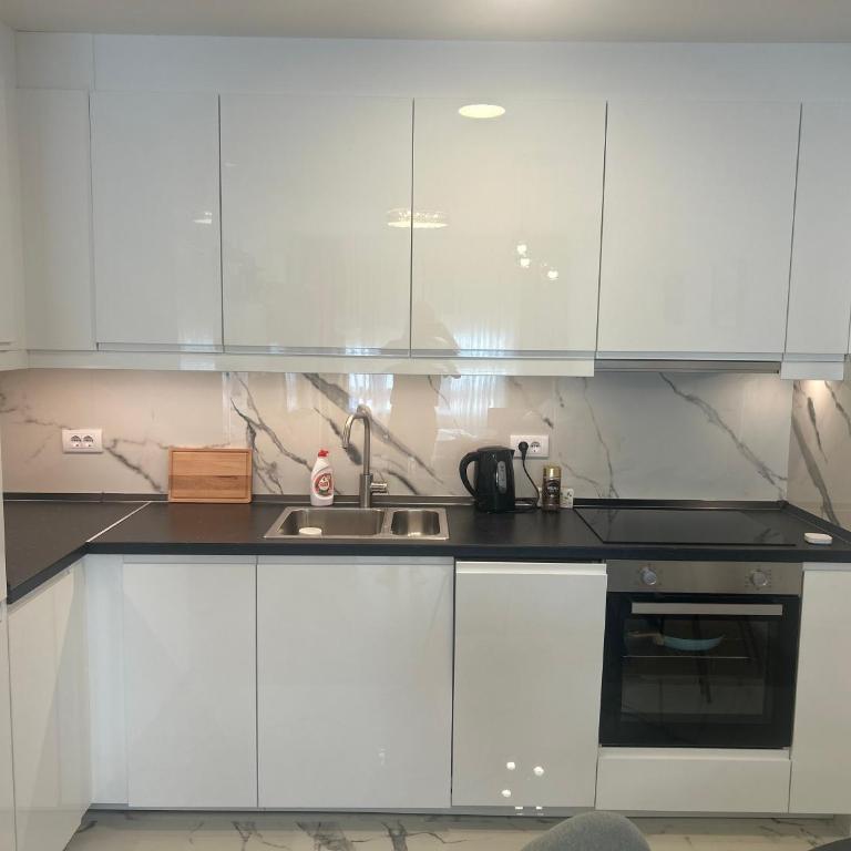 Luxurious 2 bed apt, Belgrade center - Apartman sa 2 Spavaće Sobe - 3