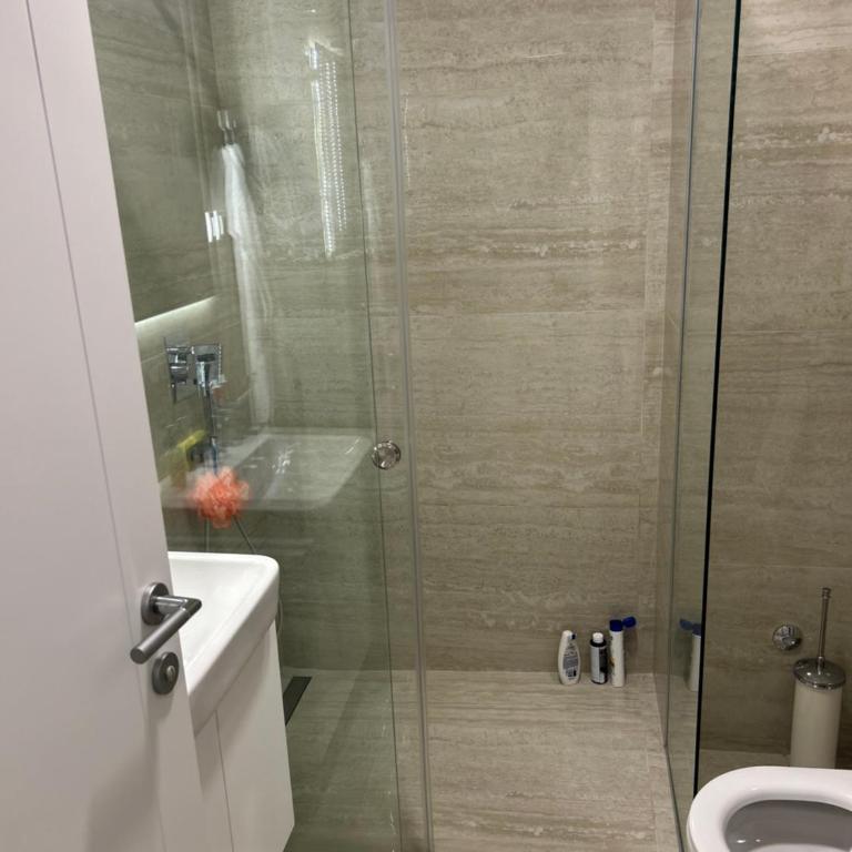 Luxurious 2 bed apt, Belgrade center - Apartman sa 2 Spavaće Sobe - 14