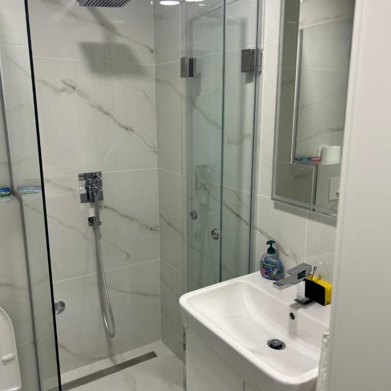 Luxurious 2 bed apt, Belgrade center - Apartman sa 2 Spavaće Sobe - 13