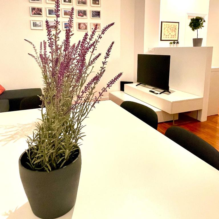 Lazy Time Apartment - Appartamento con 2 Camere da Letto - 6