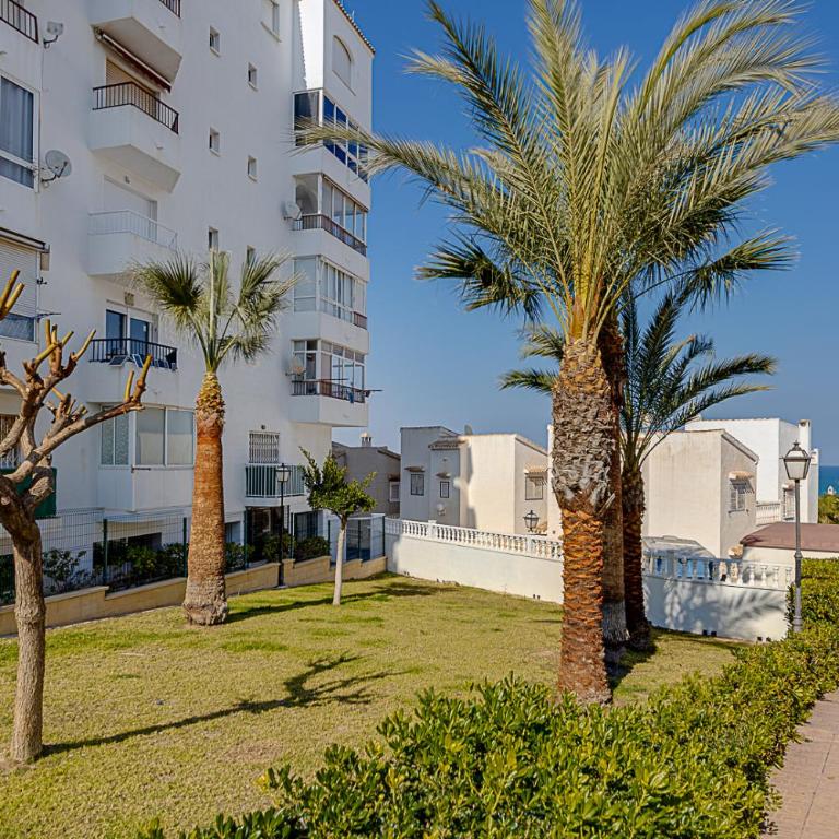 Estudio Jardín del Mar - Estudio - 4
