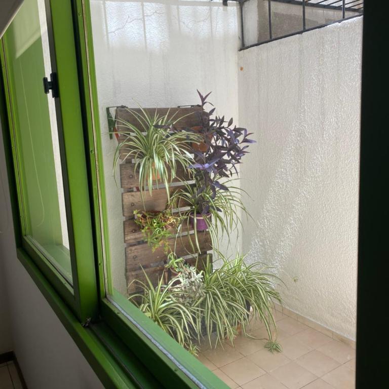 Departamento Peru - Apartamento de 1 dormitorio - 10