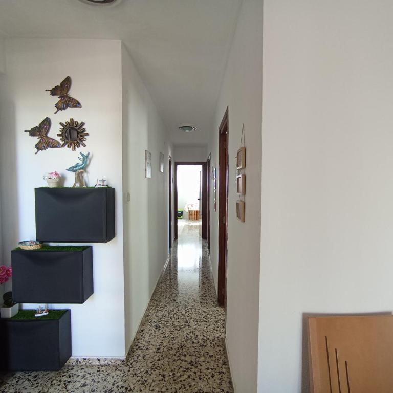 APARTAMENTO 3 PAUPÍ - Apartamento de 3 dormitorios - 3