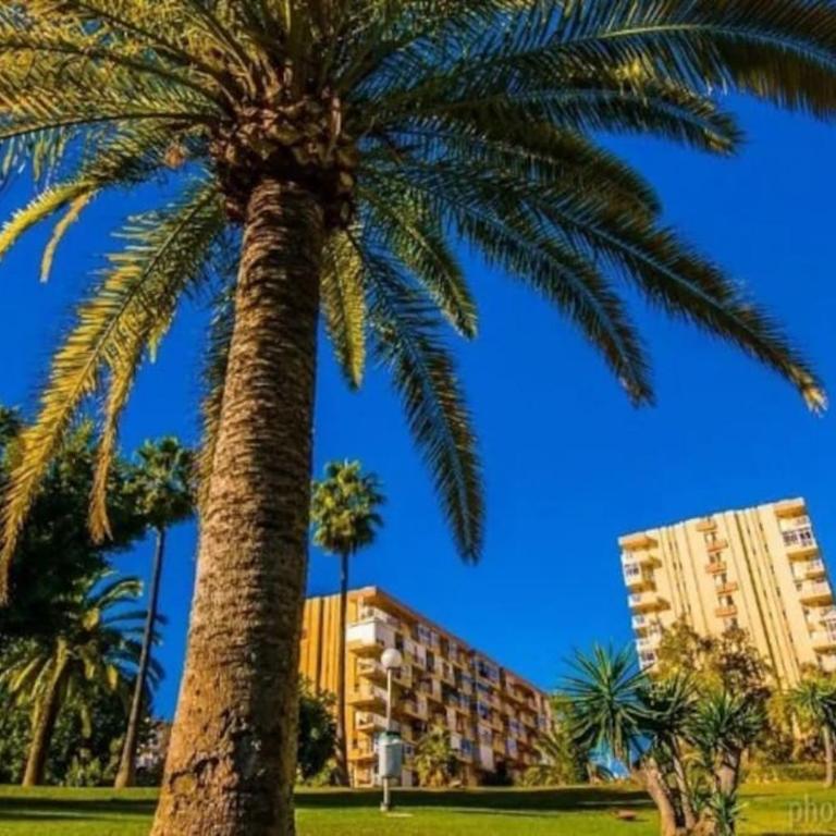 Hércules Nuevo y Moderno Estudio - One-Bedroom Apartment - 25