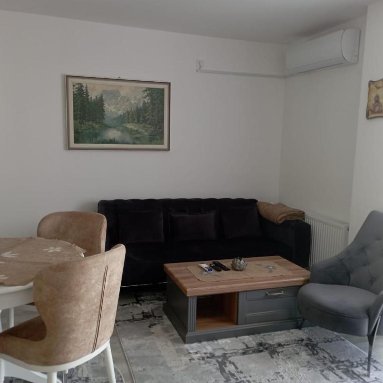 Apartmani Dar Lux - Apartman sa 1 Spavaćom Sobom - 12