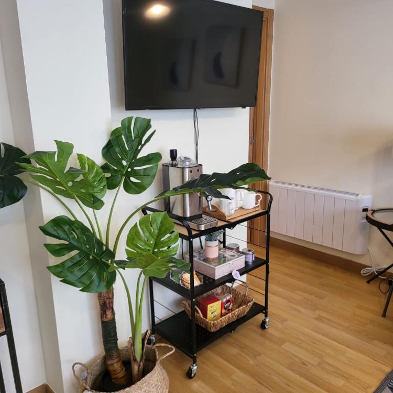Ana´s Home, Caneliñas Beach, Portonovo - Apartamento de 1 dormitorio - 10