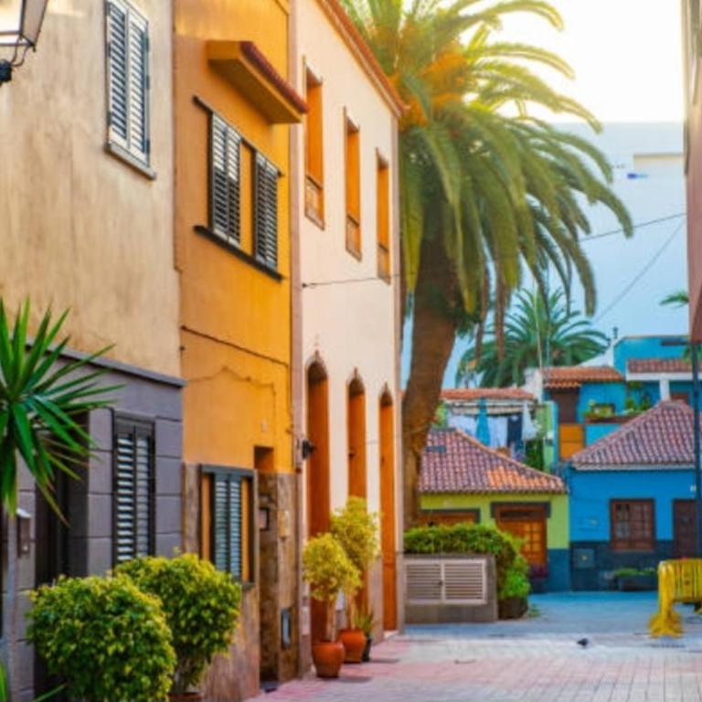 APARTMENT IN THE CENTER OF THE OLD TOWN. - Apartamento de 1 dormitorio - 33