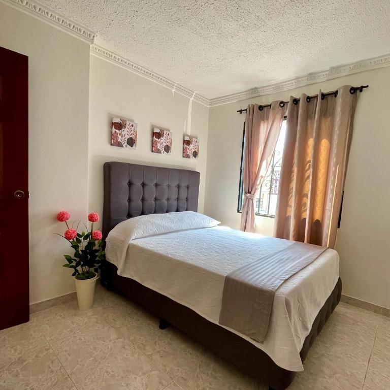 Apartamento para máximo 3 personas, habitación privada con cama doble , dos sofá cama, comodo, bonito, central, bien ubicado, en el centro de palmira - Apartamento de 1 dormitorio - 1