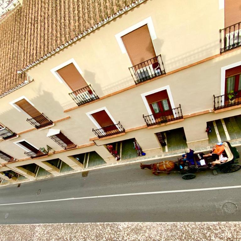Apartamentos Abeto - Apartamento con terraza - 12