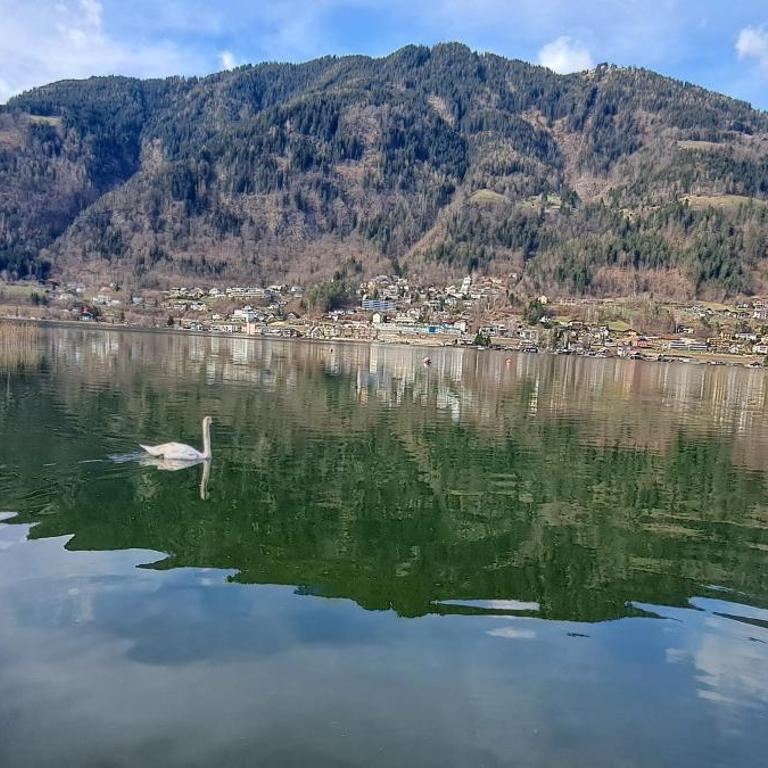 Sommertraum am Ossiacher See - direkter Seezugang, zentrumsnah und Erlebniscard - Apartment mit Seeblick - 26