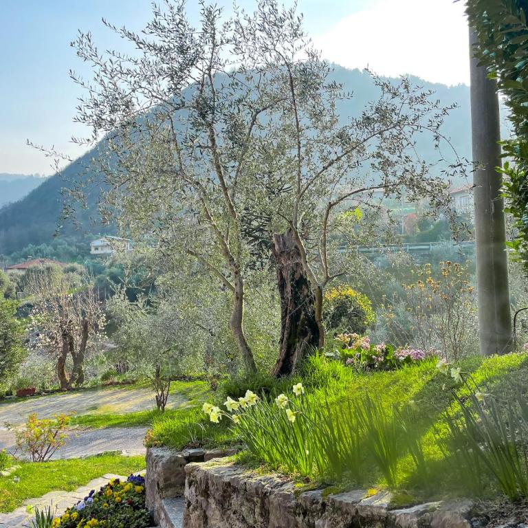 Breva, Loft tra gli ulivi ed il lago - Appartamento con 1 Camera da Letto - 25